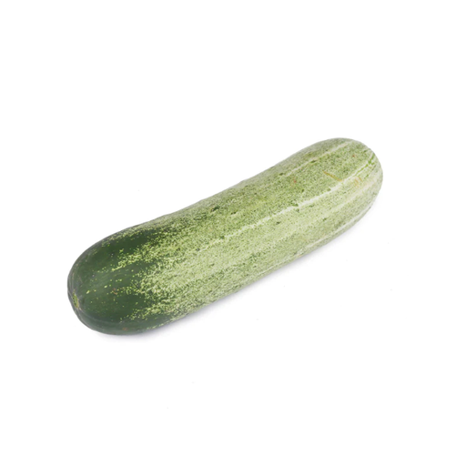 [CUCUMBER] 黄瓜 Cucumber (KG)