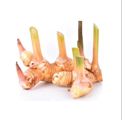 [GALANGAL] 南姜 Galangal (KG)