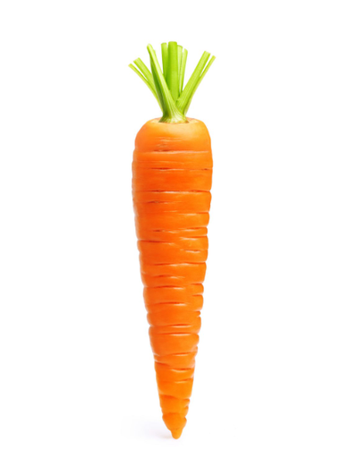 [CARROT] 红萝卜 Carrot (KG)