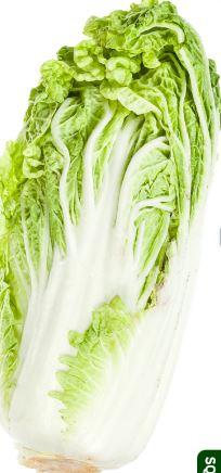 [NAPACABBAGE] 大白菜 Napa Cabbage （KG/公斤）